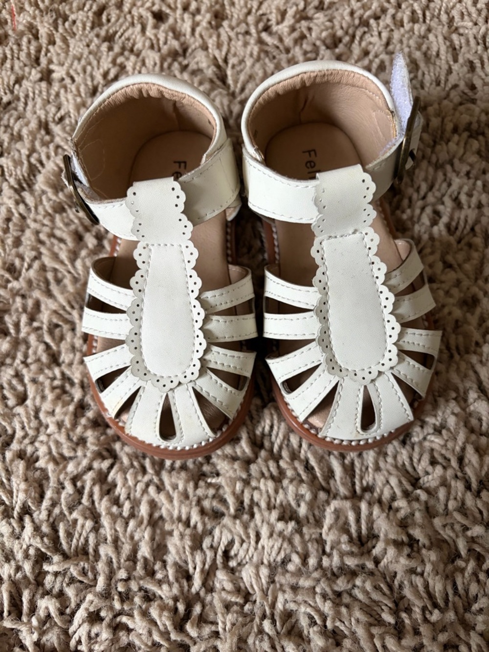 Size 6 Felix & Flora Dress Shoes